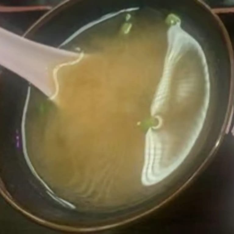Savor Our Flavorful Soups